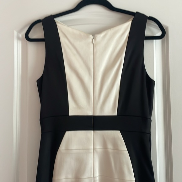 Beautiful Cache Dress, worn once and dry cleaned, silhouette detail! Beautiful - Picture 3 of 6